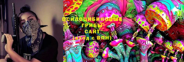 гидра Армянск