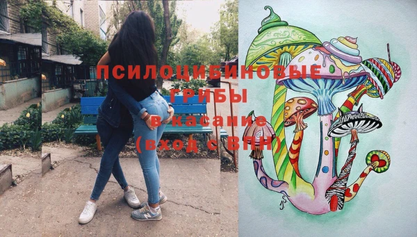 мдпв Арсеньев
