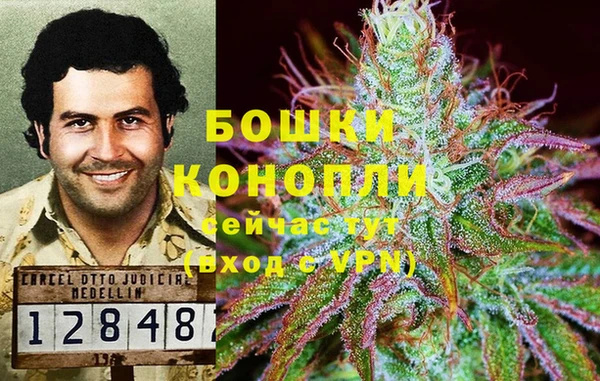 гидра Армянск