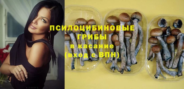 гидра Армянск